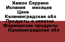 Хамон Серрано. Испания 16 месяцев  › Цена ­ 1 500 - Калининградская обл. Продукты и напитки » Фермерские продукты   . Калининградская обл.